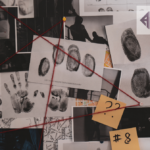 Validating Vistas: The Precision of Evaluating International Employment Credentials