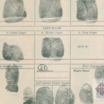 Ensuring Trustworthiness: Criminal Background Checks for Accounting Staff in the Philippines